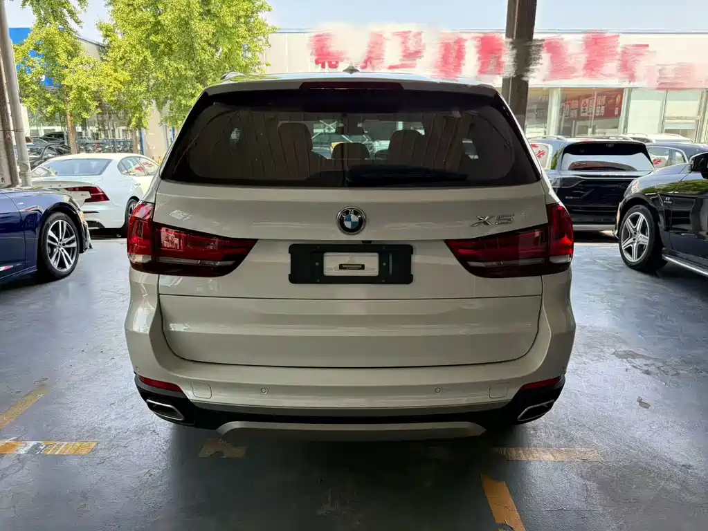 BMW X5 New Energy 2017 — фото 13