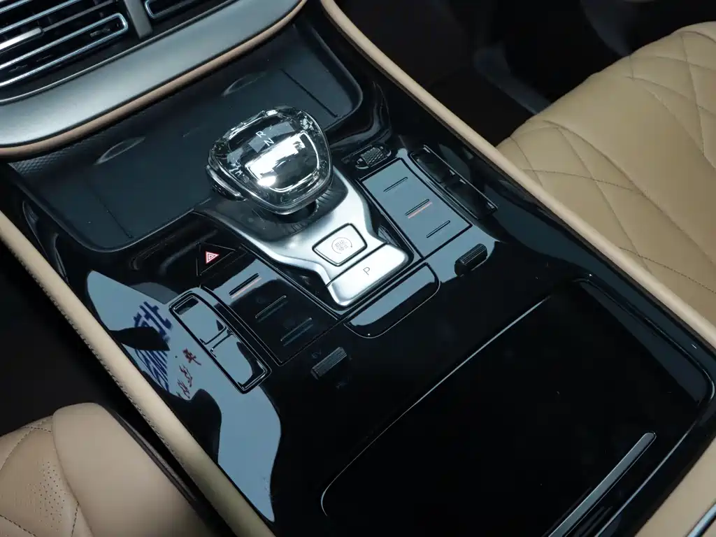 Denza D9 2025 — фото 25