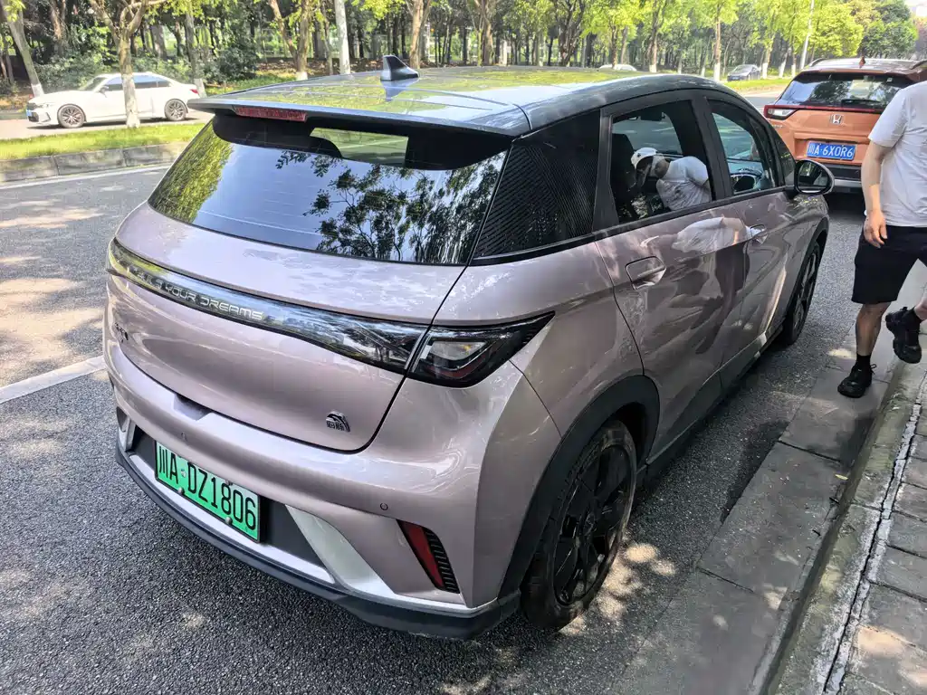 BYD Dolphin 2022