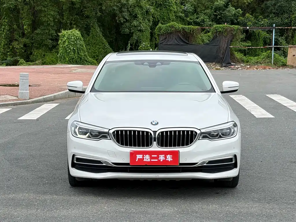 BMW 5 Series New Energy 2019 — фото 2