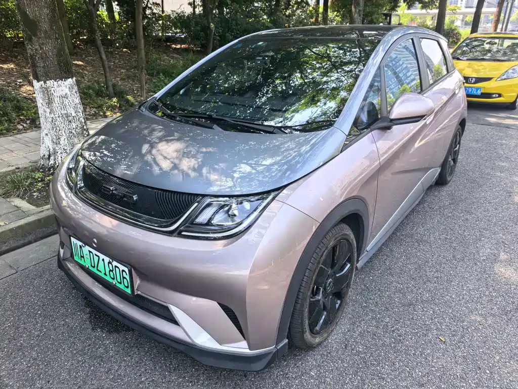 BYD Dolphin 2022