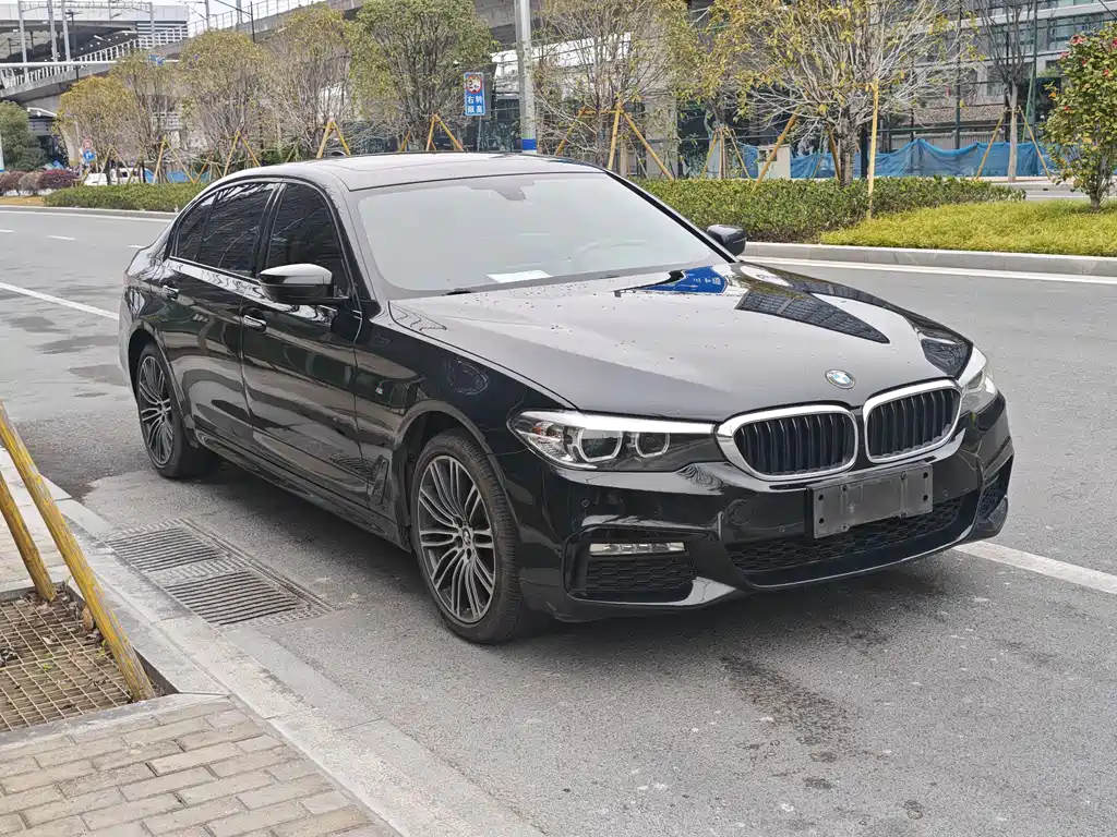 BMW 5 Series 2018 — фото 3