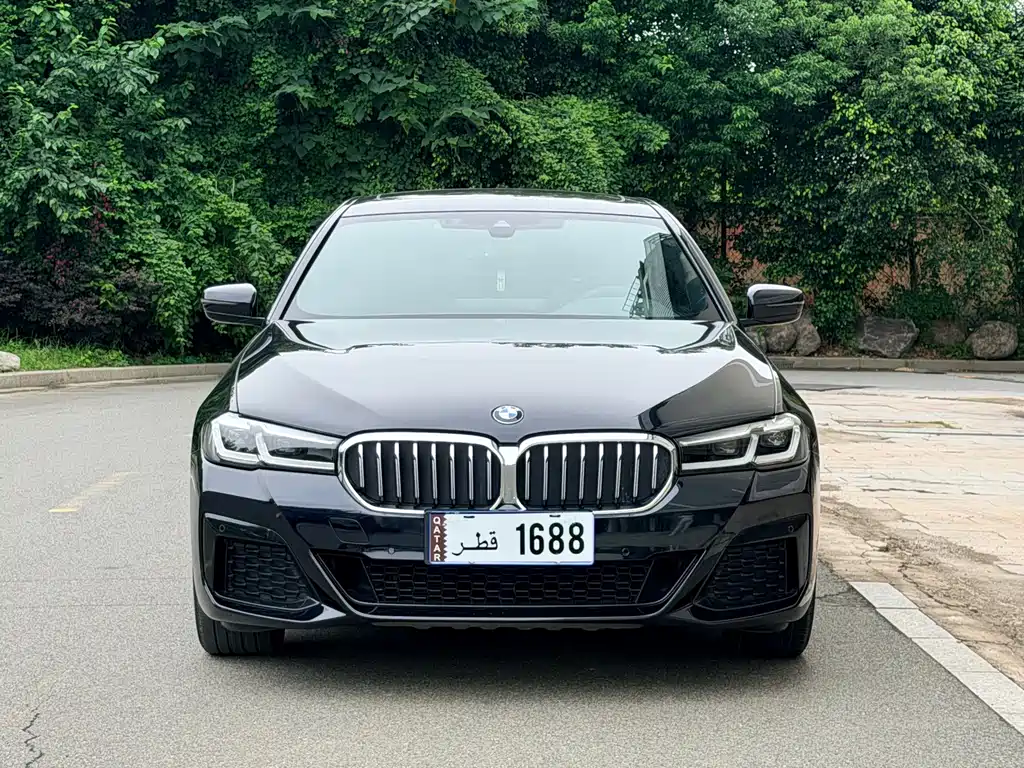 BMW 5 Series 2021