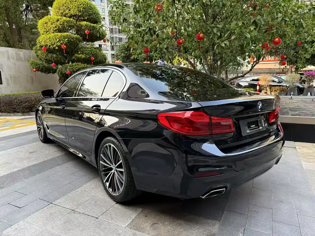 BMW 5 Series 2020 — фото 4