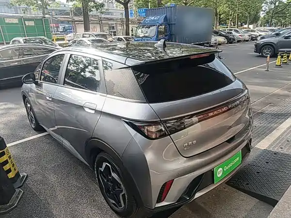 BYD Dolphin 2021