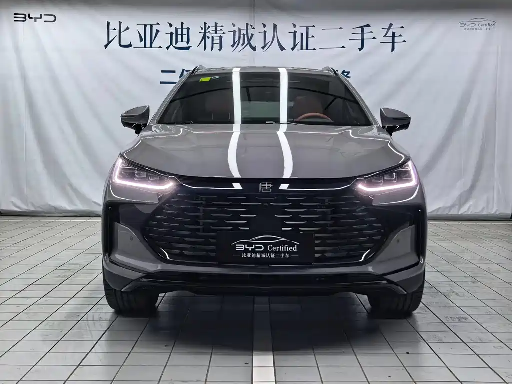 BYD Tang New Energy 2025 — фото 2