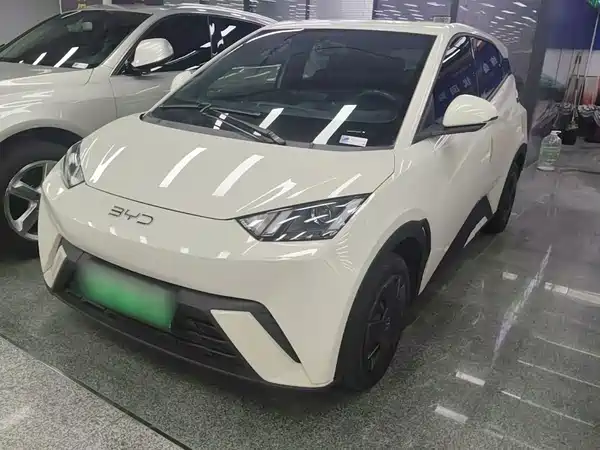 BYD Seagull 2024