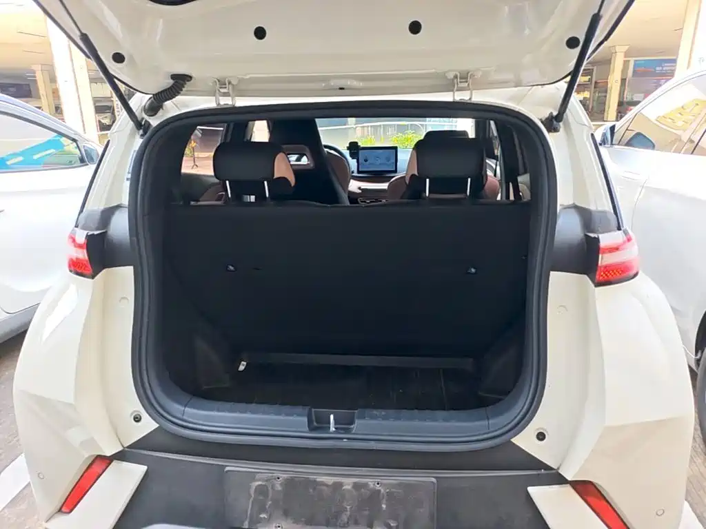 BYD Seagull 2023 — фото 19