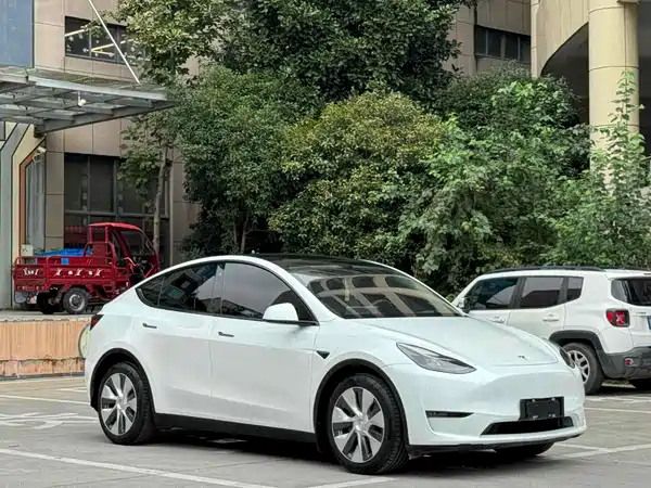 Tesla Model Y 2021