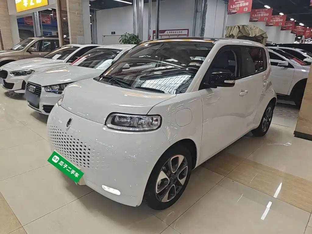 Ora White Cat 2021