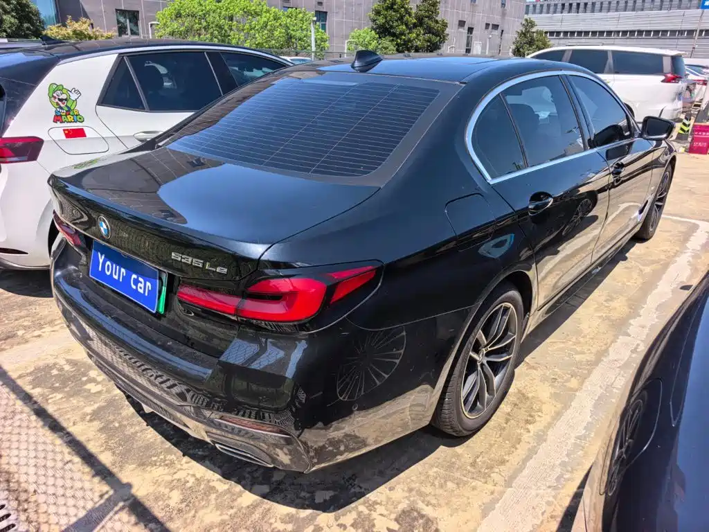 BMW 5 Series New Energy 2021