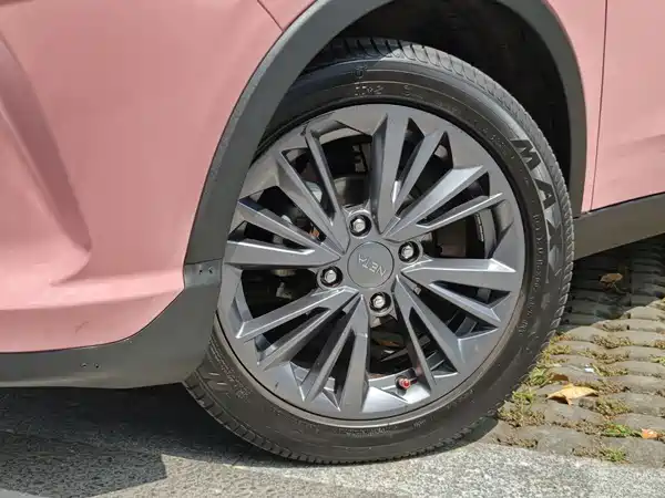 Neta V 2021