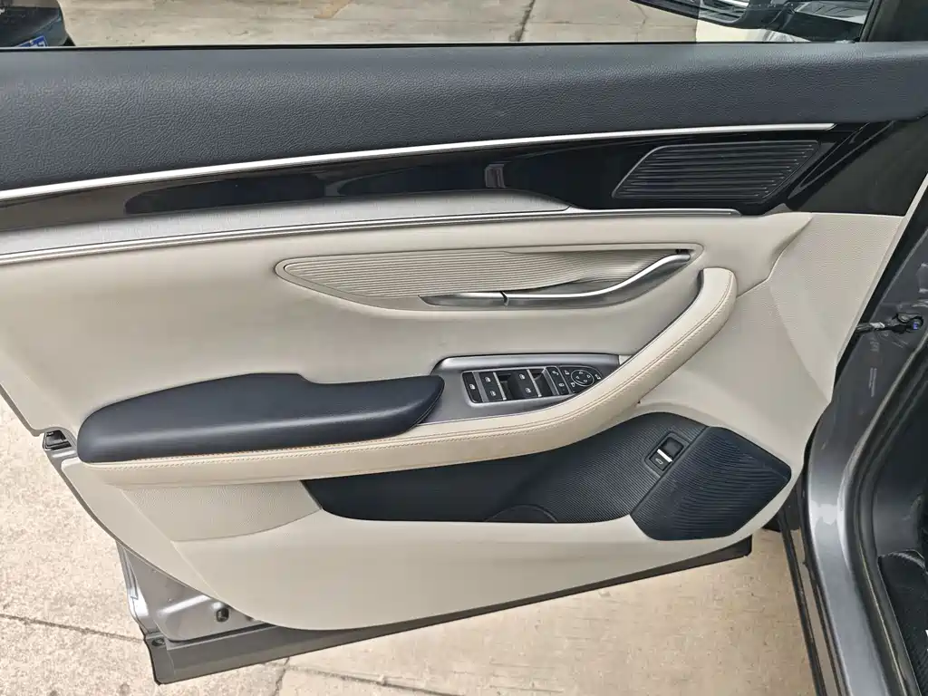 BYD PLUS New Energy 2023 — фото 8