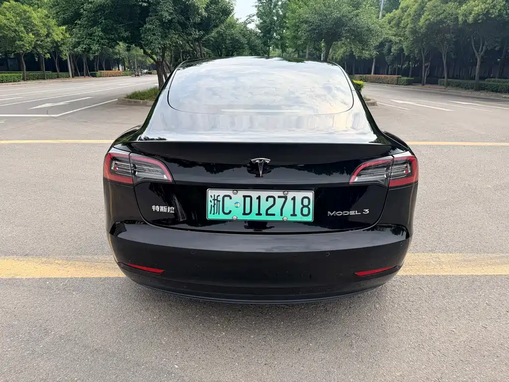 Tesla Model 3 2021 — фото 9