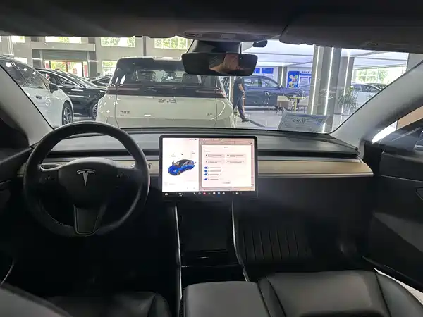 Tesla Model 3 2020
