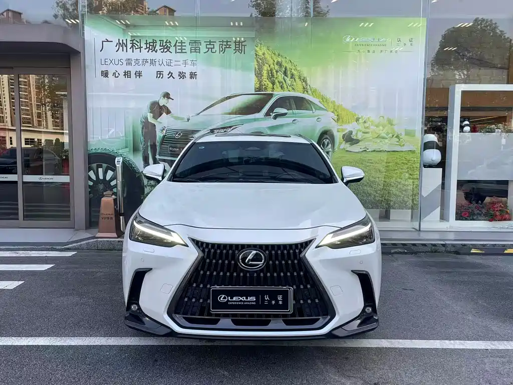 Lexus NX New Energy 2022 — фото 2