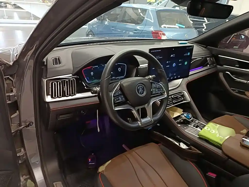 BYD PLUS New Energy 2022 — фото 10