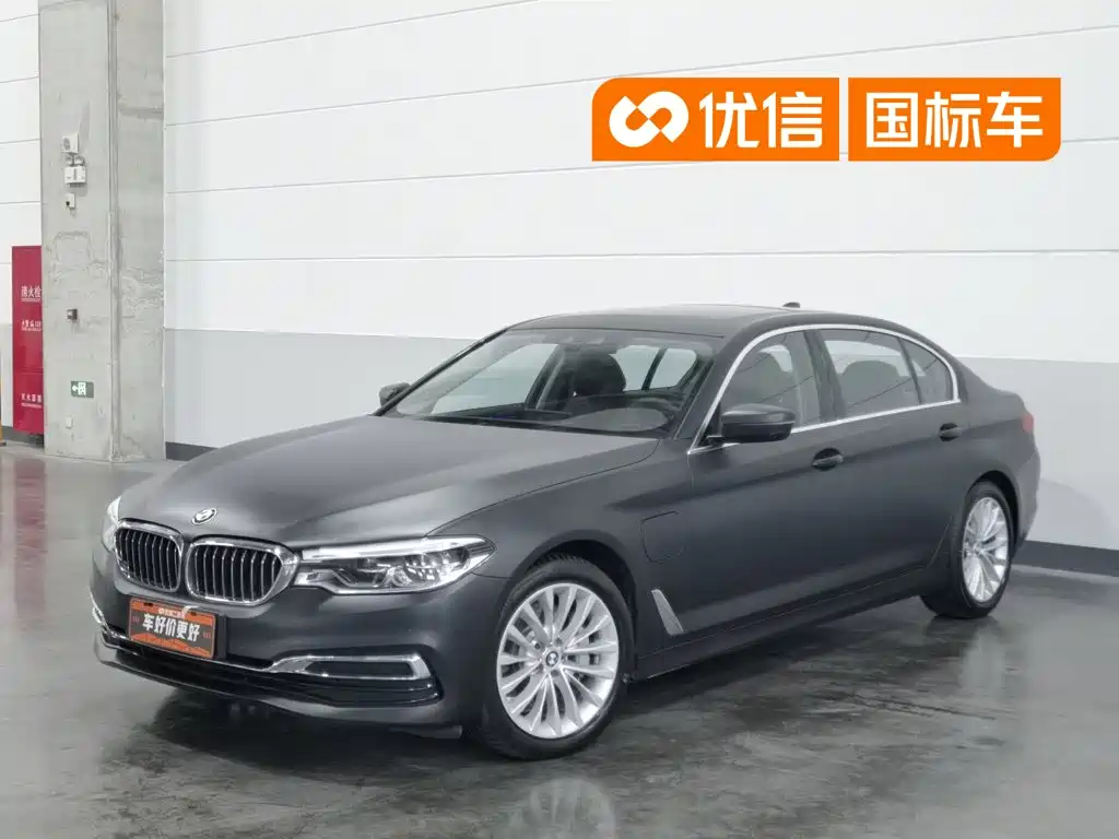 BMW 5 Series New Energy 2019