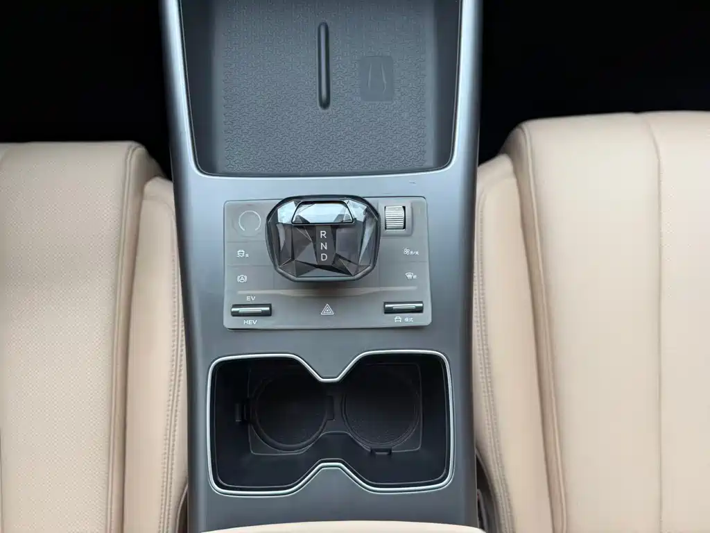 BYD Song Pro New Energy 2024 — фото 20