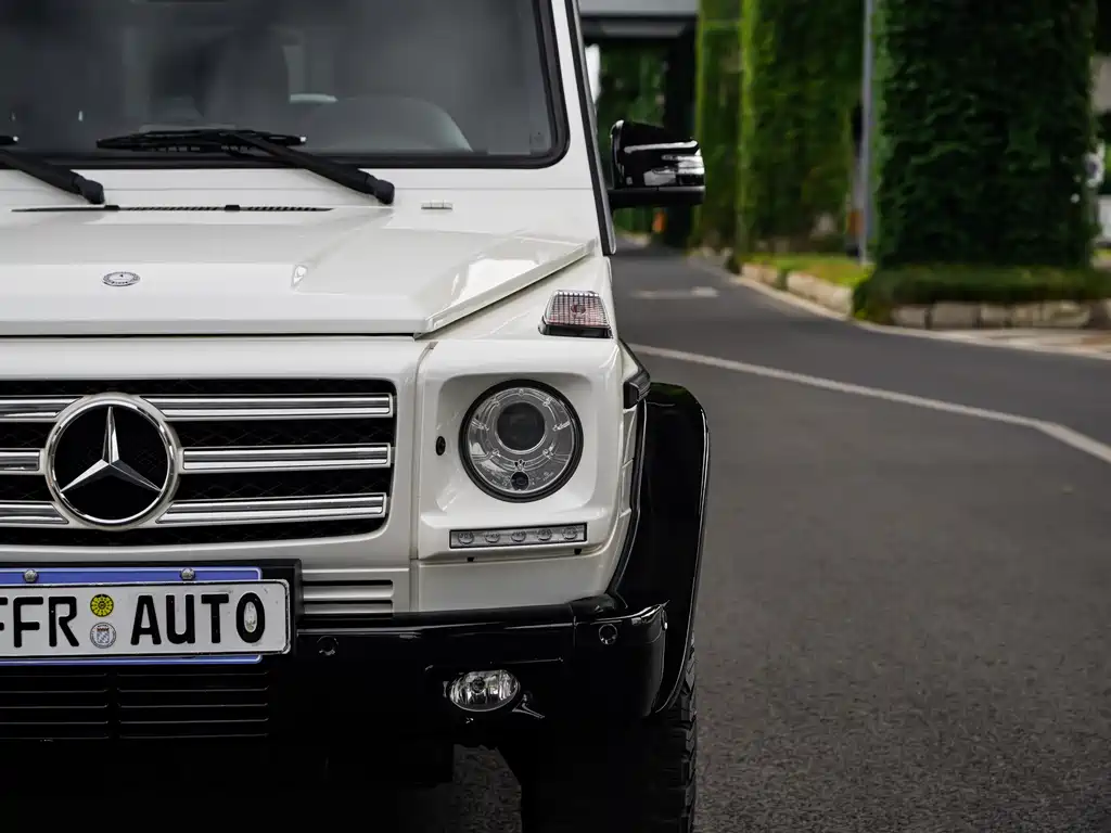 Mercedes-Benz G-Class 2016 — фото 17