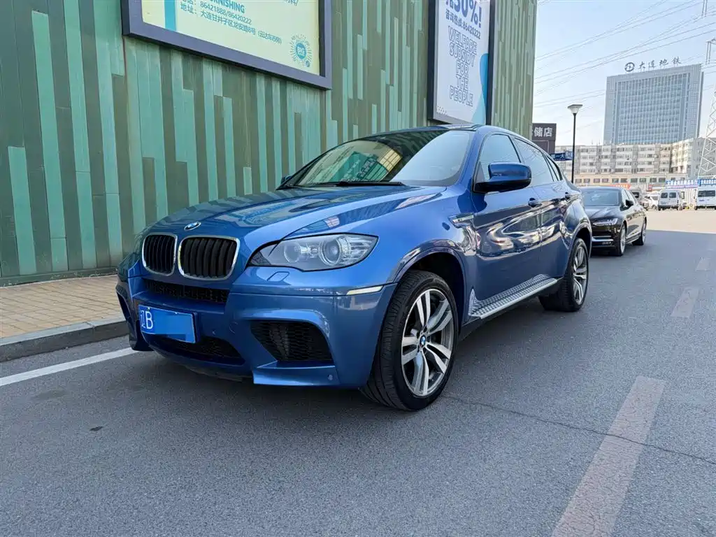 BMW X6 M 2010