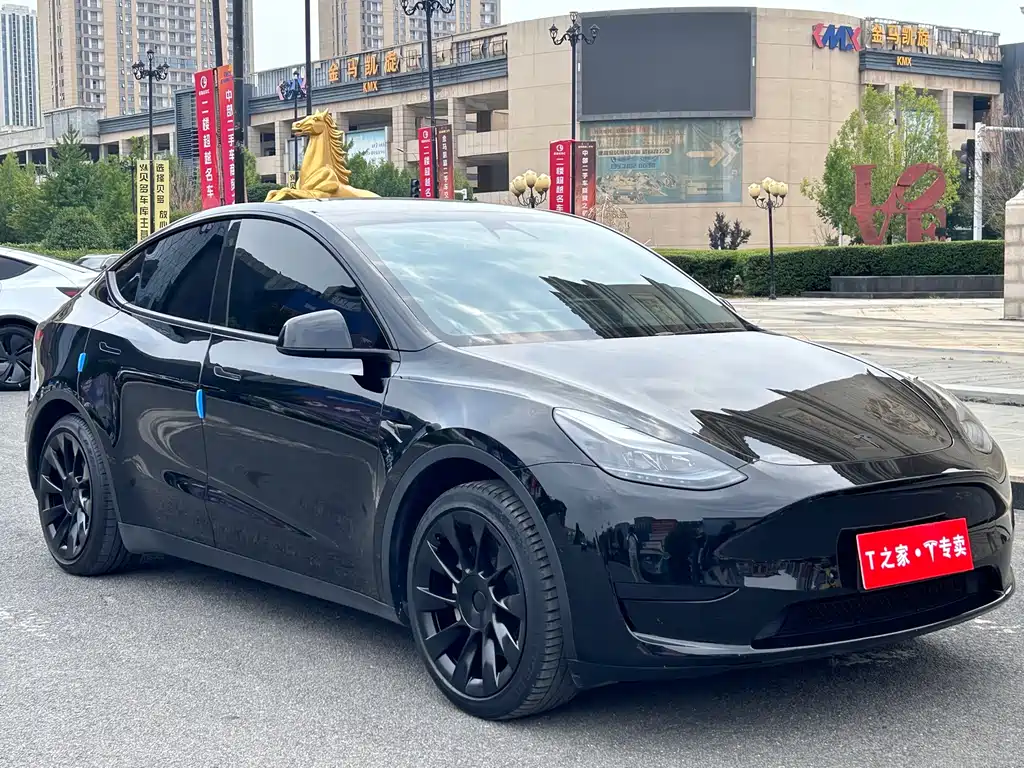 Tesla Model Y 2023 — фото 3