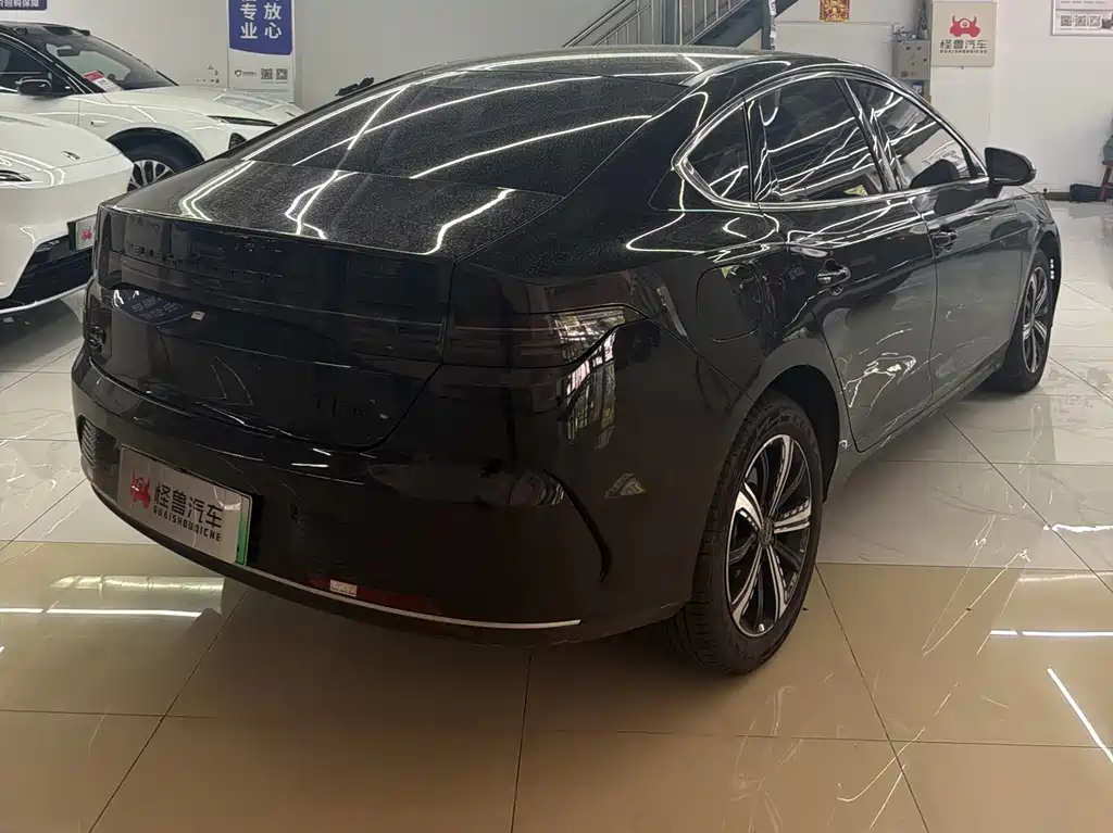 BYD Destroyer 05 2024 — фото 10