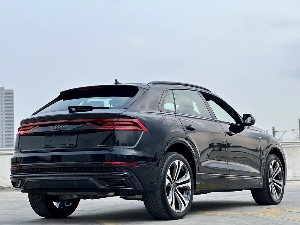 Audi Q8 2024 — фото 13