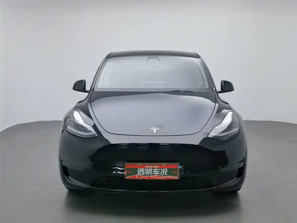 Tesla Model Y 2021 — фото 3