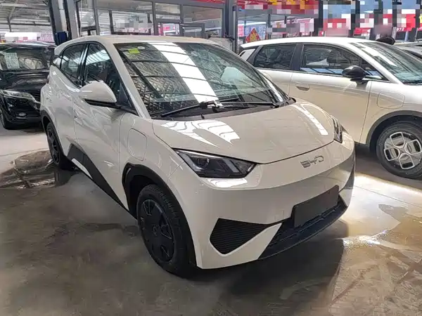 BYD Seagull 2025
