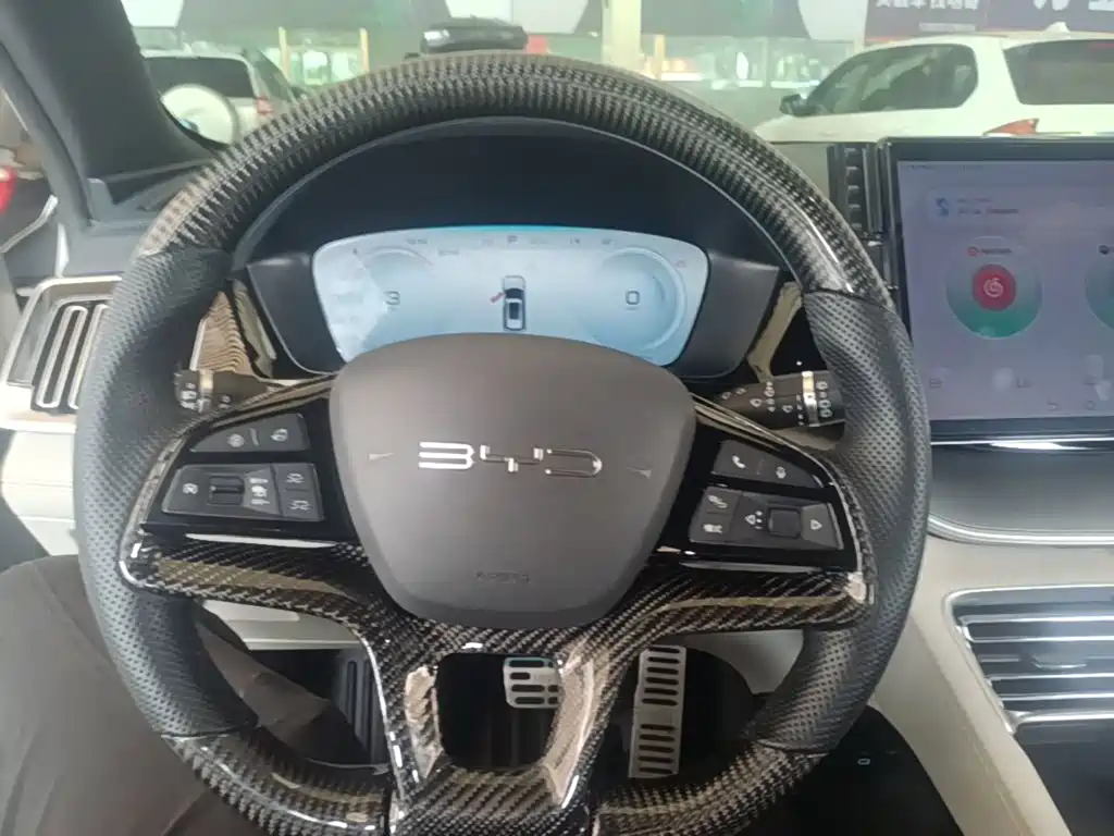 BYD PLUS New Energy 2023 — фото 11