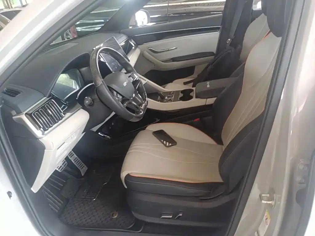 BYD PLUS New Energy 2023 — фото 15