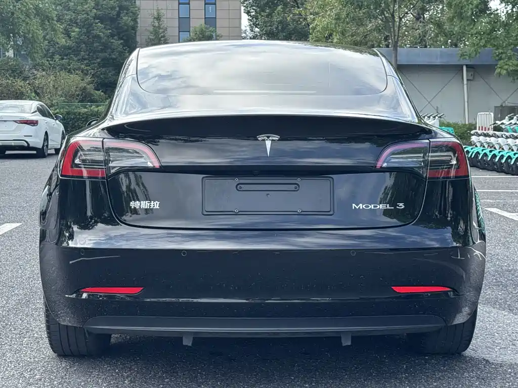 Tesla Model 3 2021 — фото 6