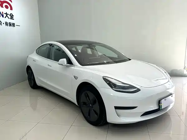Tesla Model 3 2019