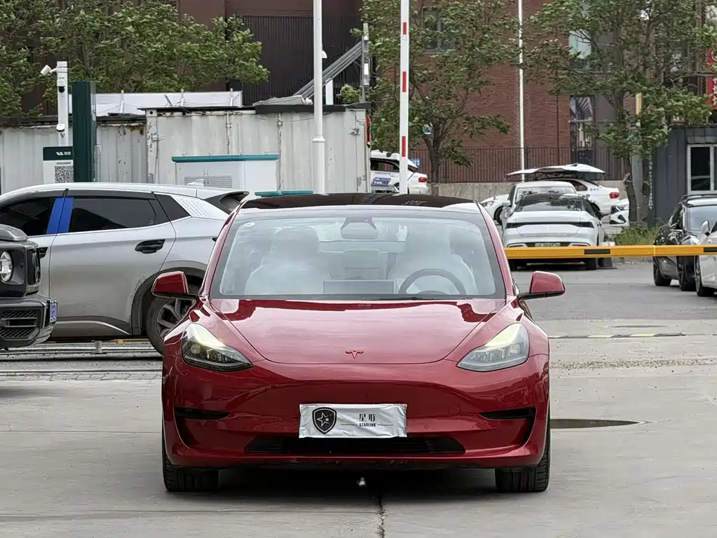 Tesla Model 3 2021 — фото 2