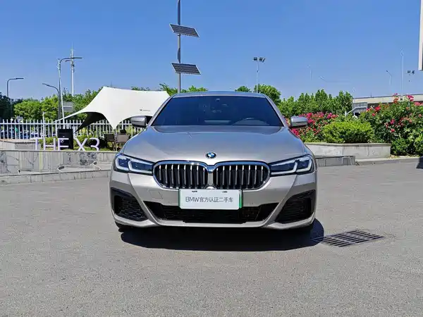 BMW 5 Series New Energy 2021