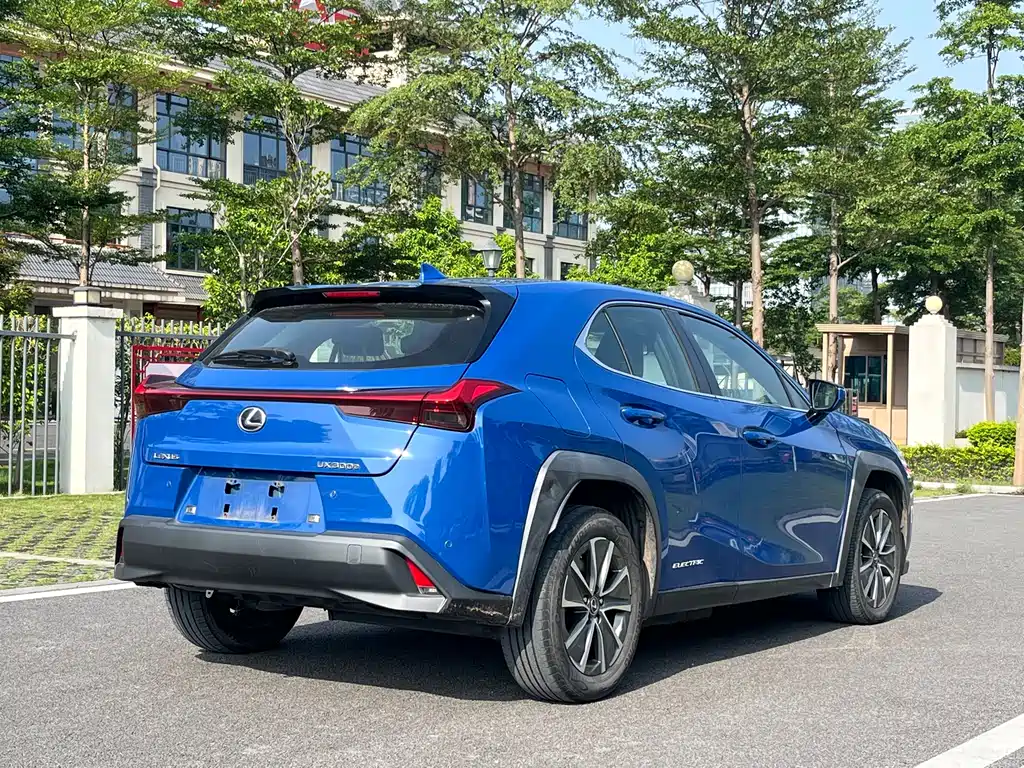 Lexus UX New Energy 2020 — фото 11