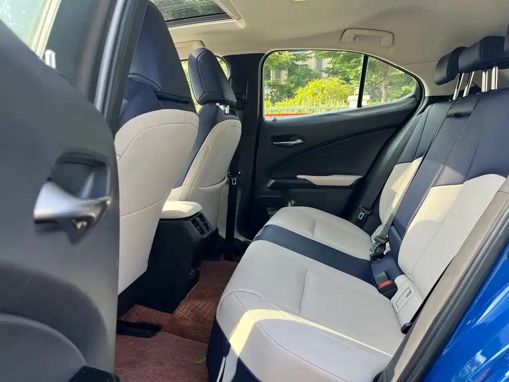 Lexus UX New Energy 2020 — фото 28