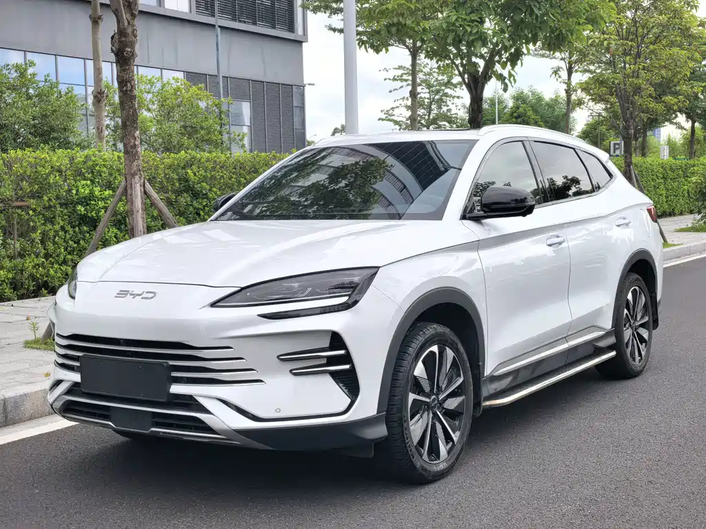 BYD Song PLUS New Energy 2024 — фото 1
