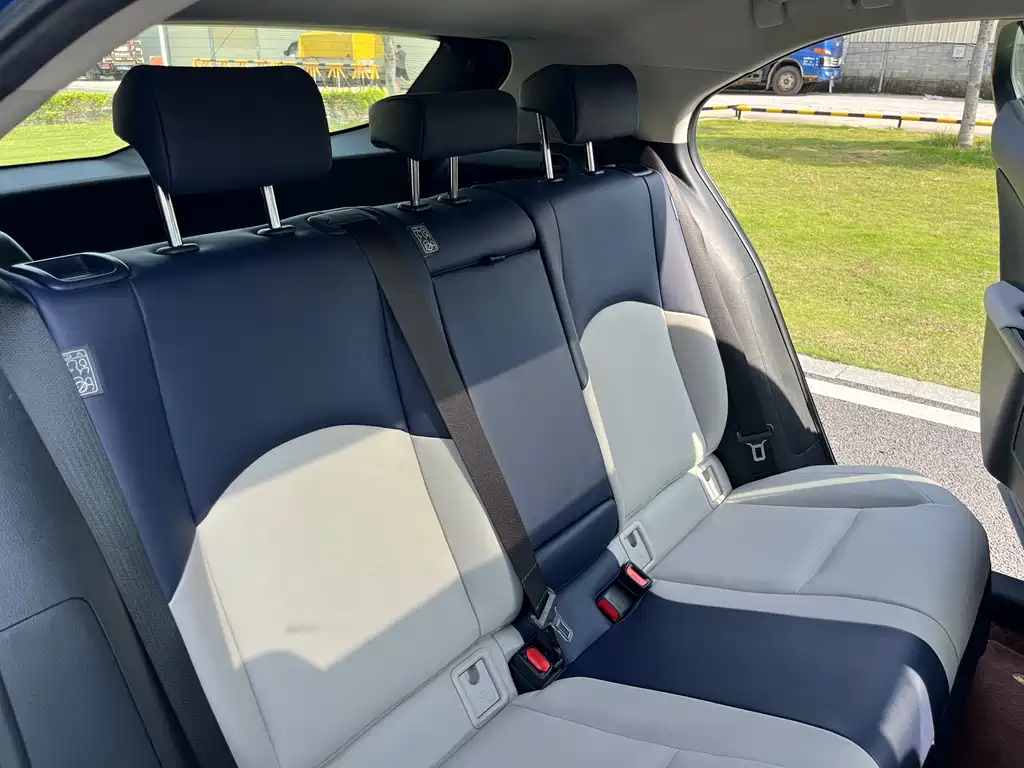 Lexus UX New Energy 2020 — фото 32