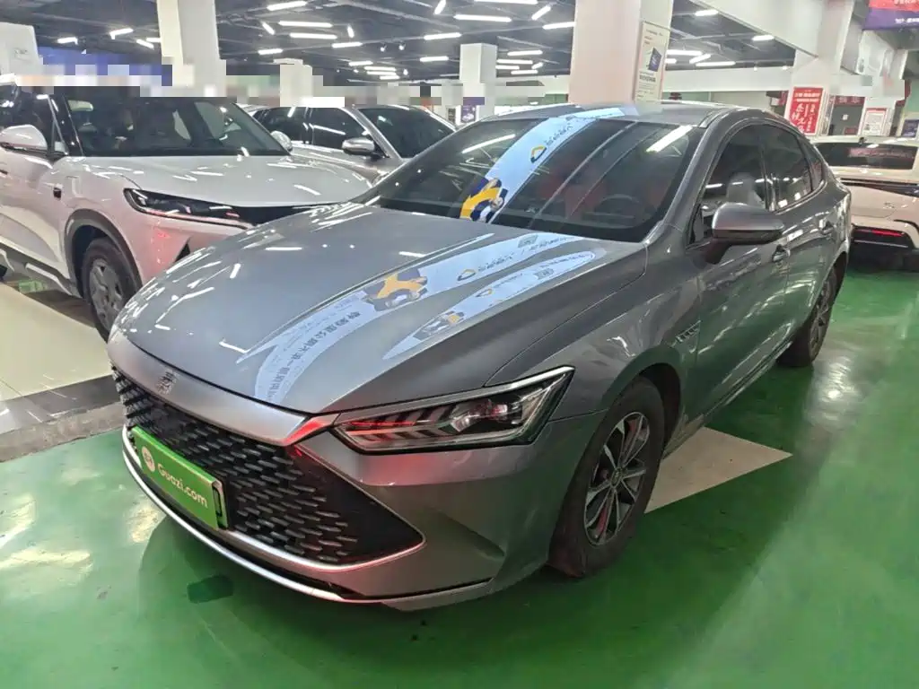 BYD Qin PLUS 2024 — фото 2