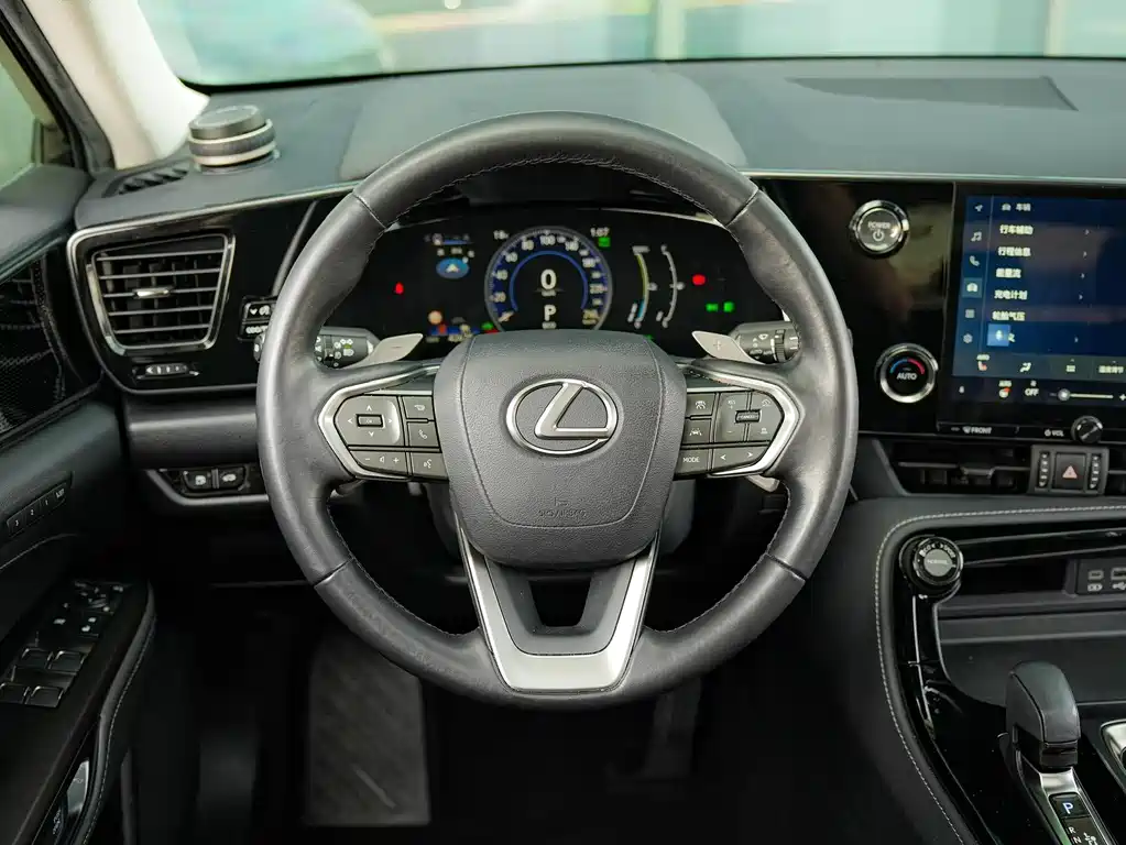 Lexus NX New Energy 2023 — фото 20