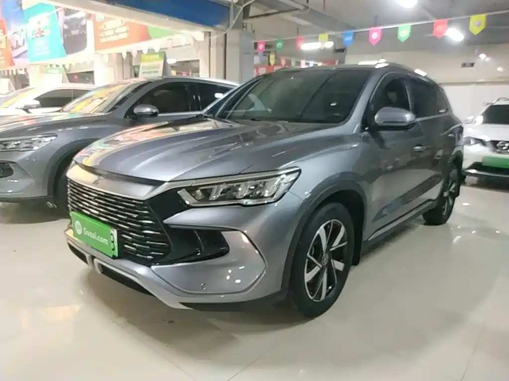 BYD Pro New Energy 2024