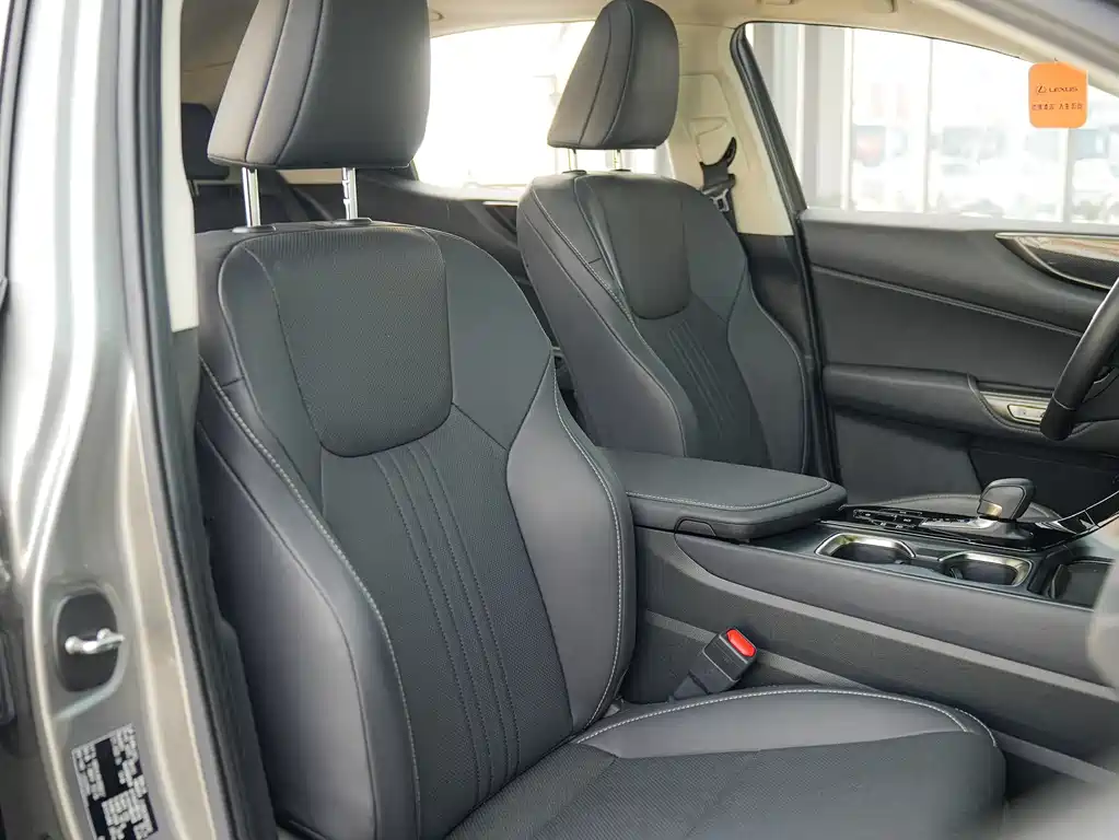Lexus NX New Energy 2023 — фото 12