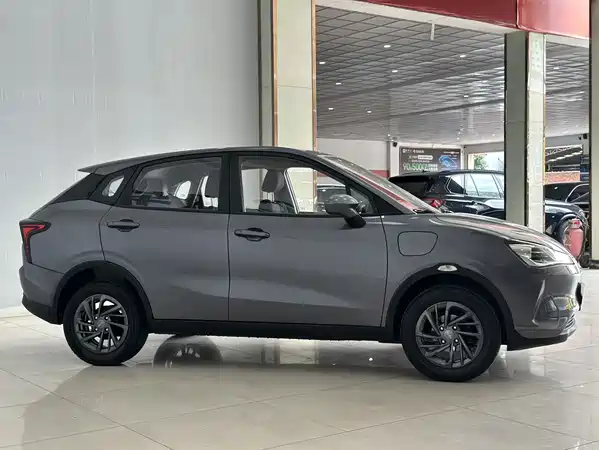 Neta V 2021
