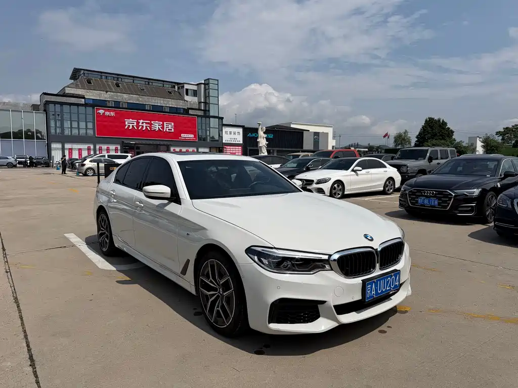 BMW 5 Series 2019