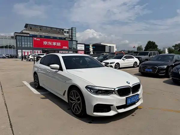 BMW 5 Series 2019