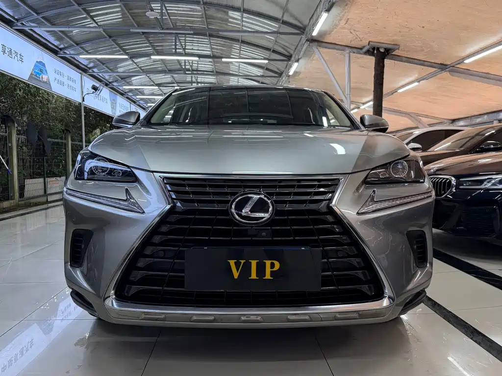 Lexus NX 2018 — фото 11