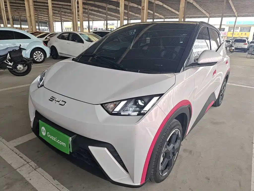 BYD Seagull 2024