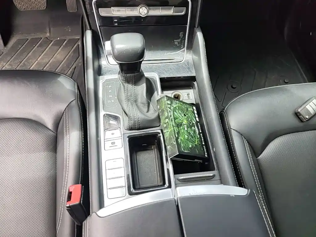Roewe RX8 2023 — фото 14